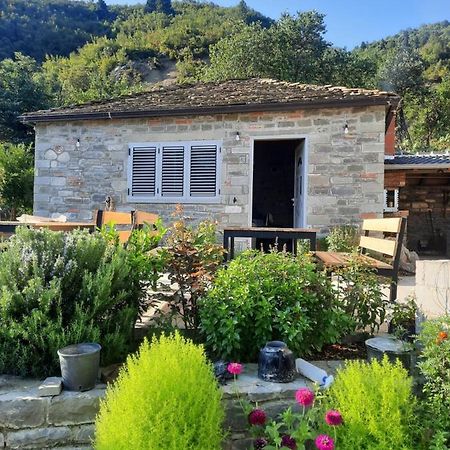 Vila Bujtina Lugina E Vjoses Përmet Exteriér fotografie