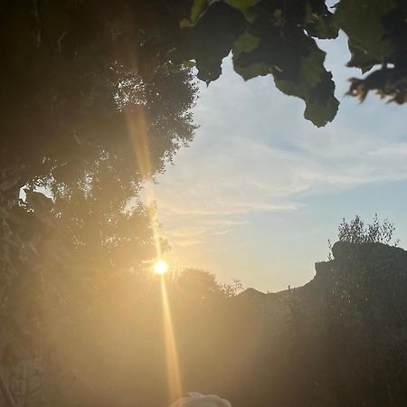 Vila Bujtina Lugina E Vjoses Përmet Exteriér fotografie