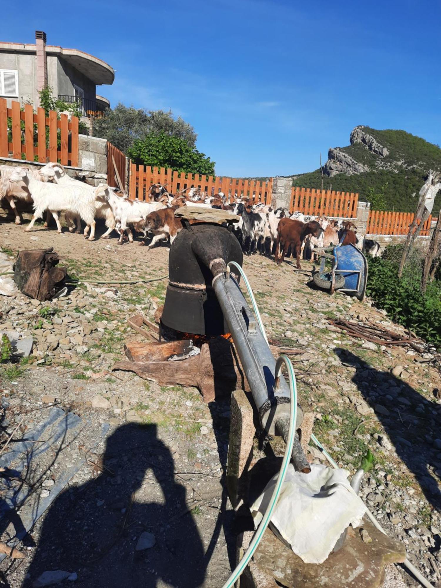 Vila Bujtina Lugina E Vjoses Përmet Exteriér fotografie