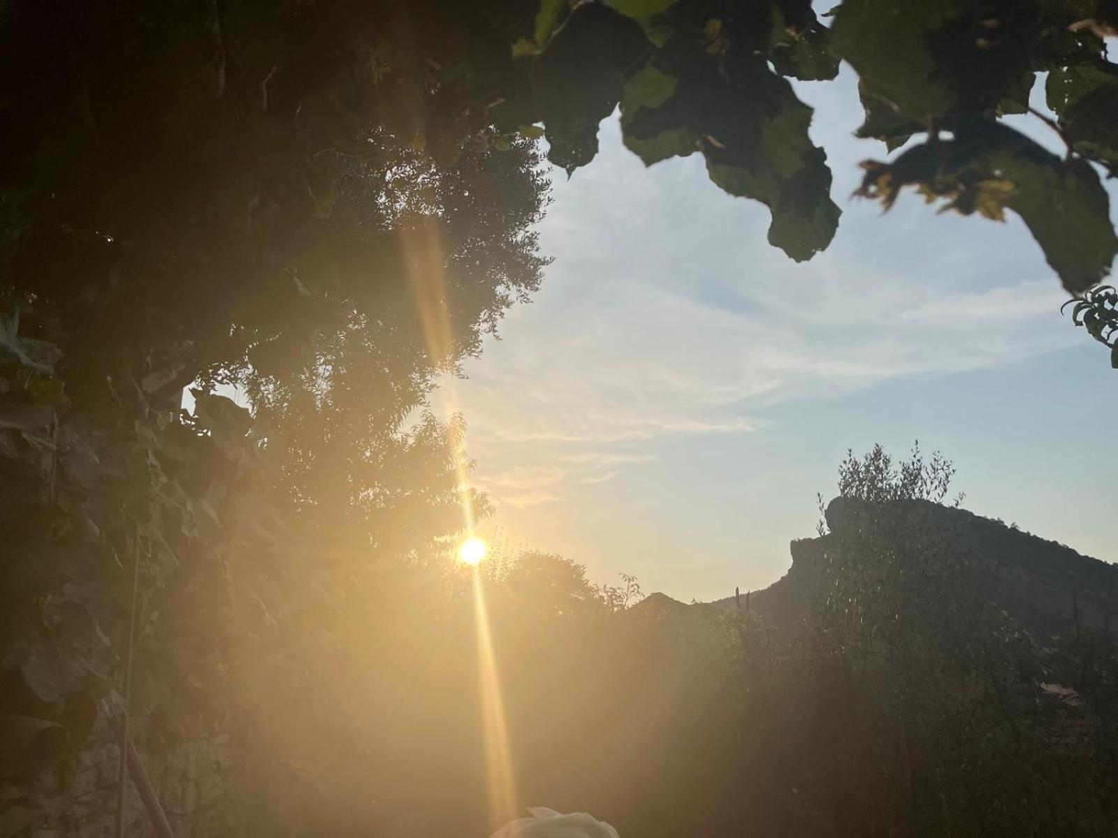 Vila Bujtina Lugina E Vjoses Përmet Exteriér fotografie