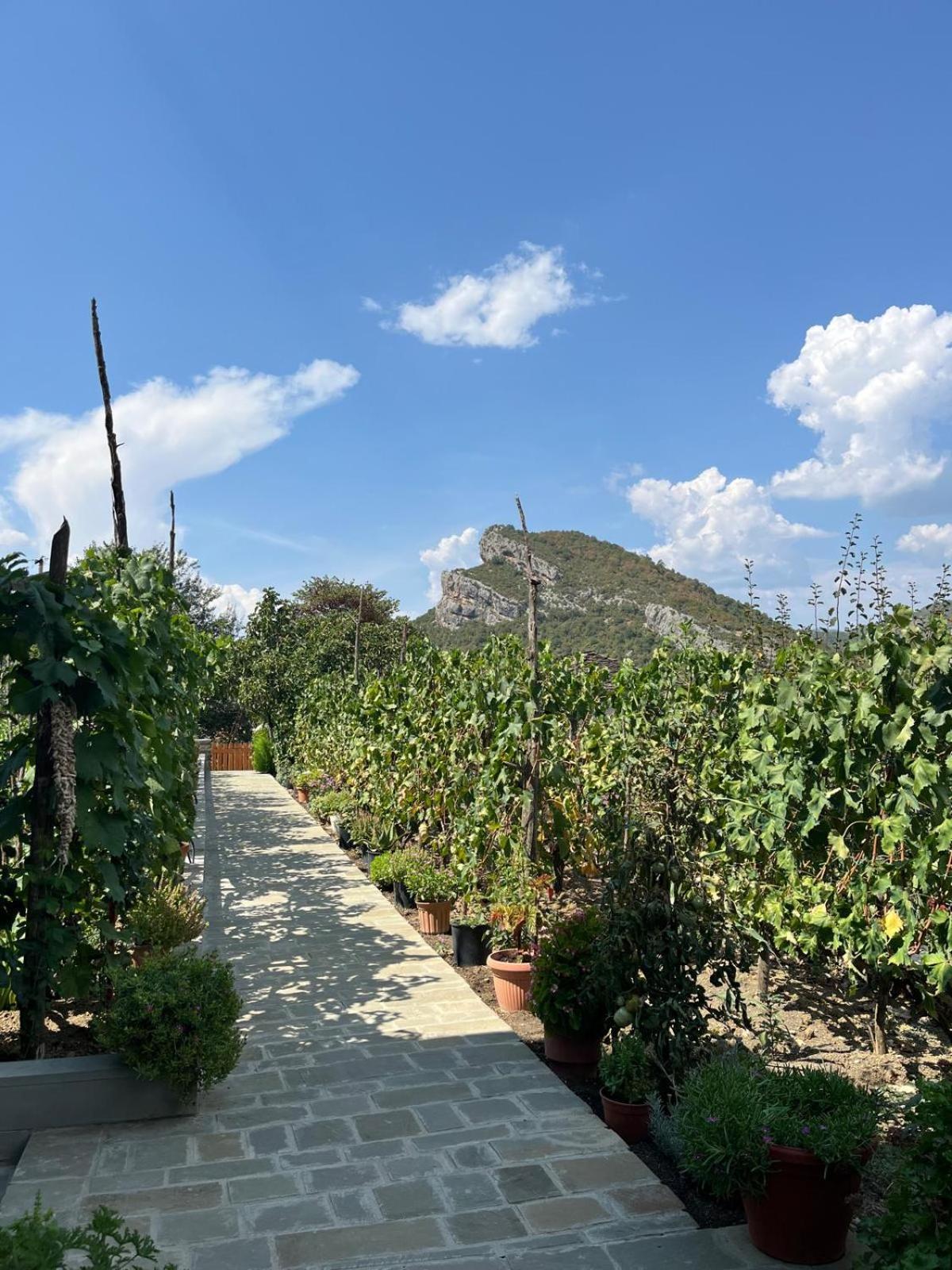 Vila Bujtina Lugina E Vjoses Përmet Exteriér fotografie